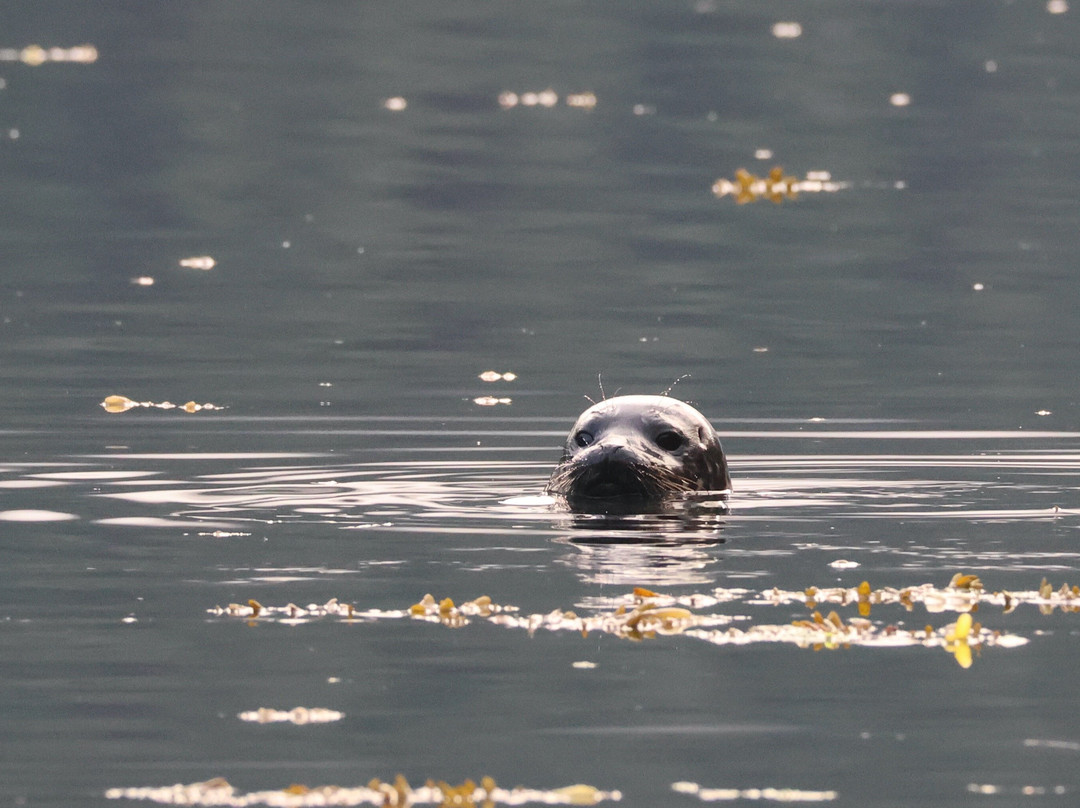 Gwaii Haanas National Park-Daajing Giids必去景点