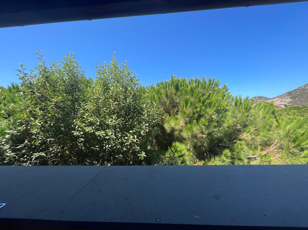 艾尔伽比诺酒店主图