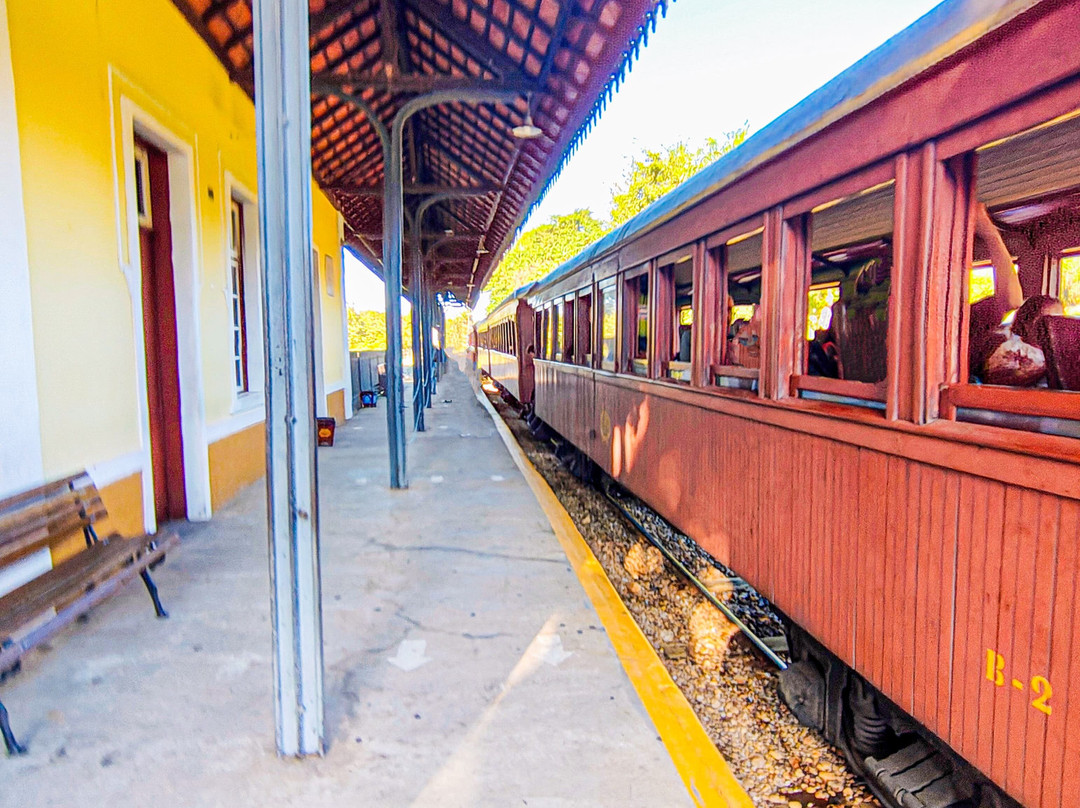 Smoking Mary Minas' Vintage Steam Trains-蒂拉登特斯必去景点