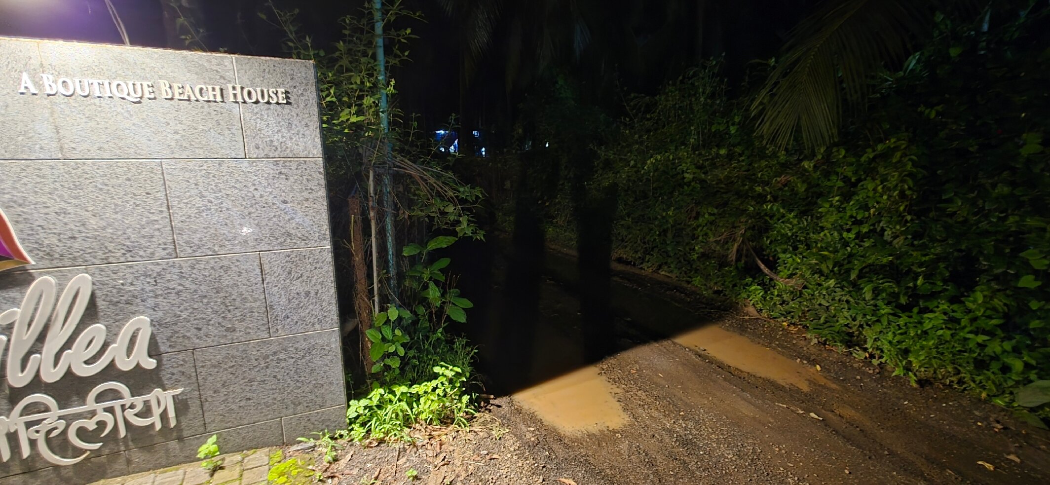 Bougainvillea Alibaug-官方