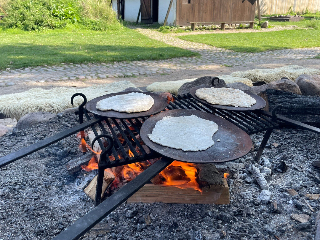 Trelleborg Viking Fortress-斯劳厄尔瑟必去景点