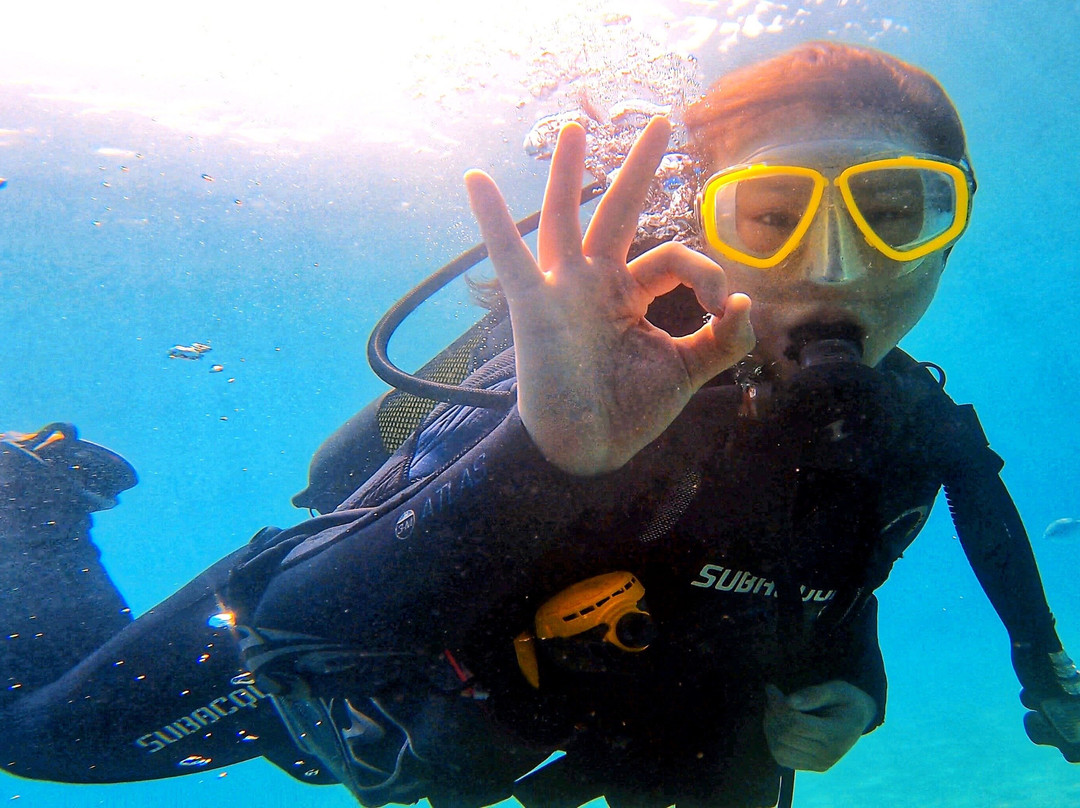 Tenerife Into The Blue - Dive In The Adventure-Abades必去景点