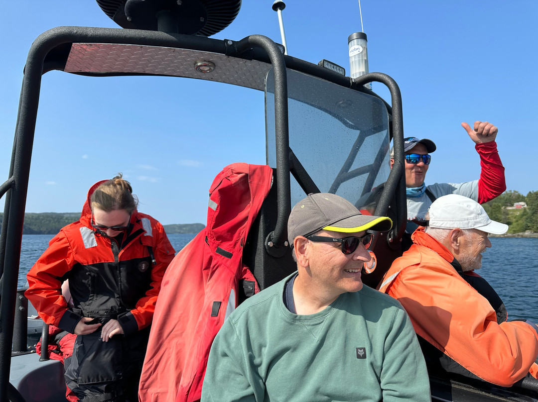 Sea of Whales Adventures-Trinity必去景点