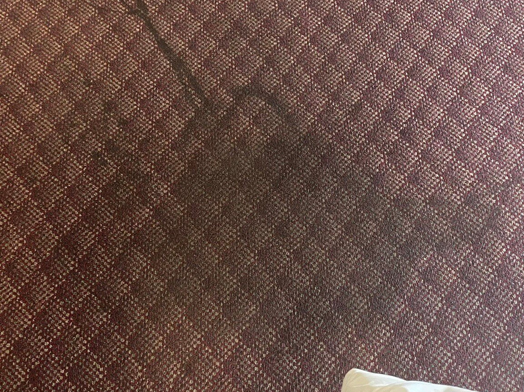 Cactus Tree Inn主图