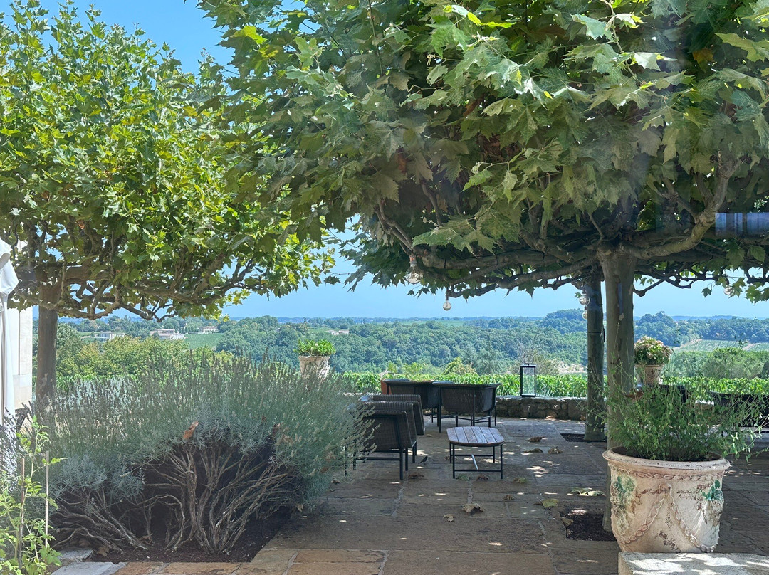 Chateau Troplong Mondot-Saint-Laurent-des-Combes必去景点