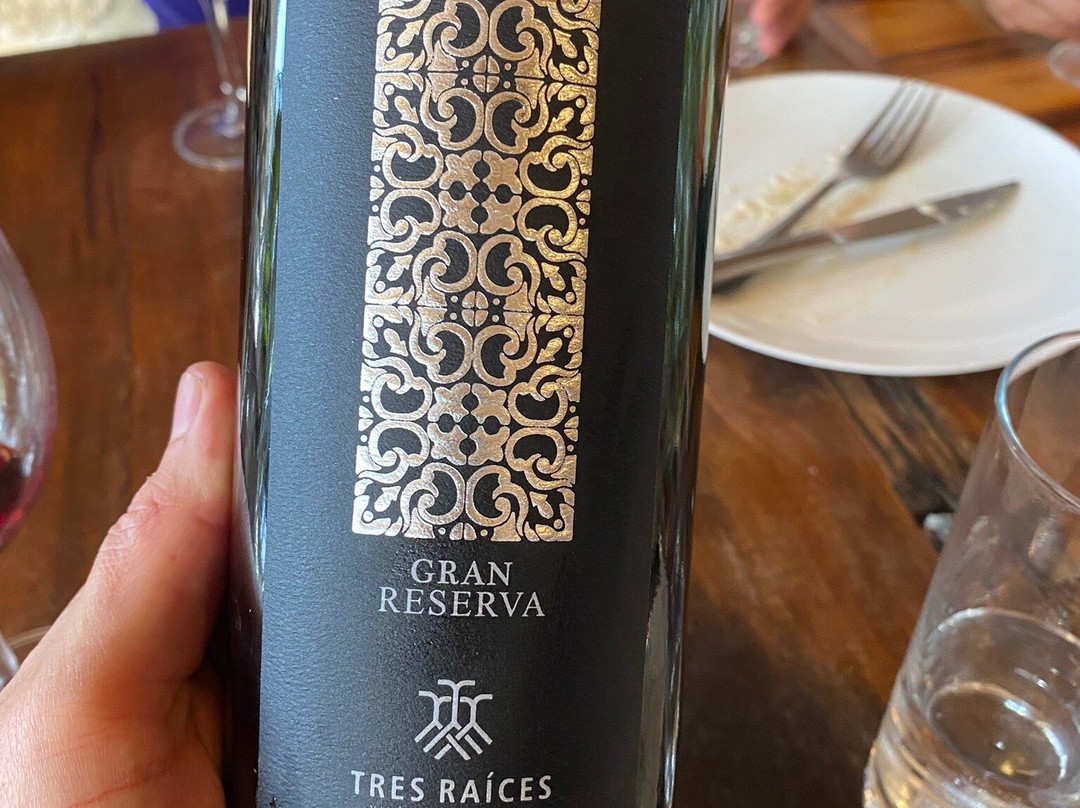 Tres Raíces-Dolores Hidalgo必去景点