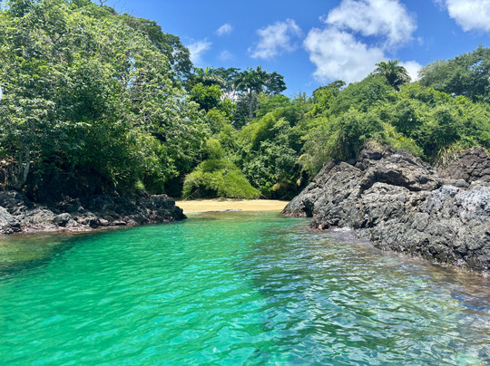 Experience Adventure Time Tobago-多巴哥必去景点