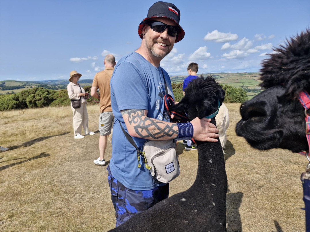 Alpaca My Boots-布雷肯必去景点