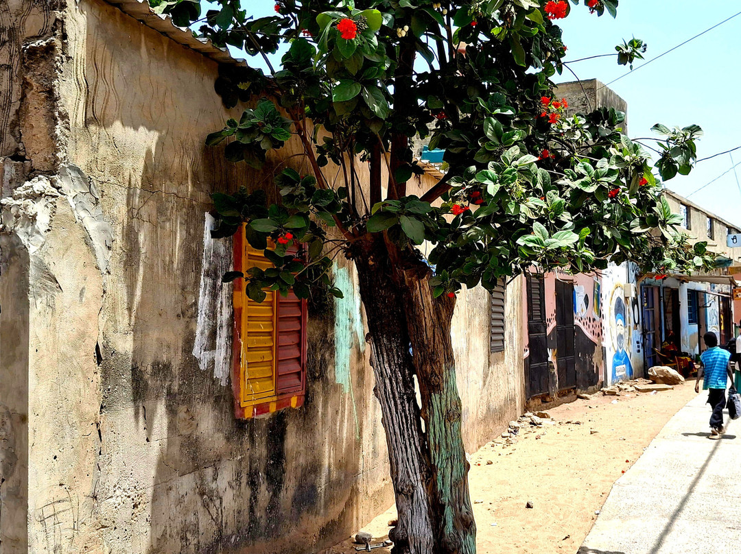 Excursions Départ Hôtel Riu Baobab-Ponto必去景点