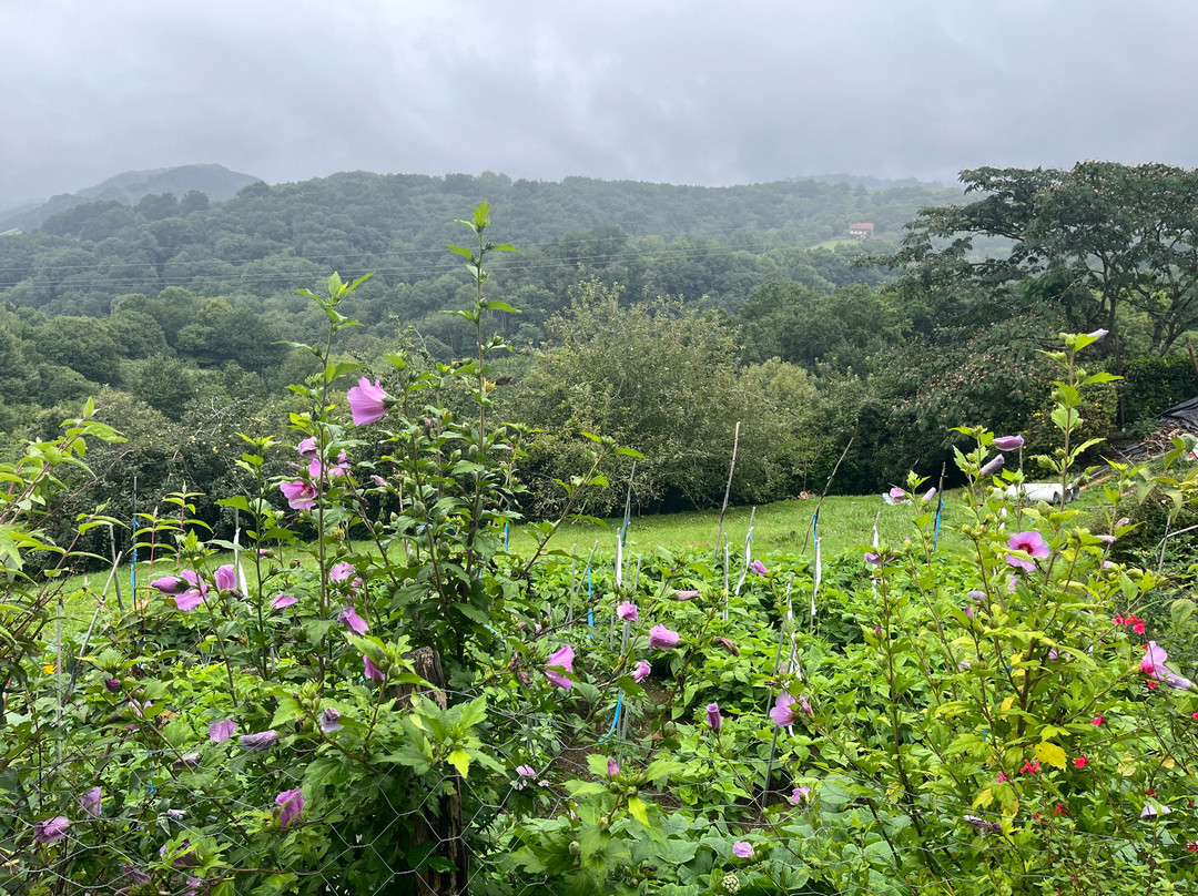 Pyrenean Writing Retreats-Ituren必去景点