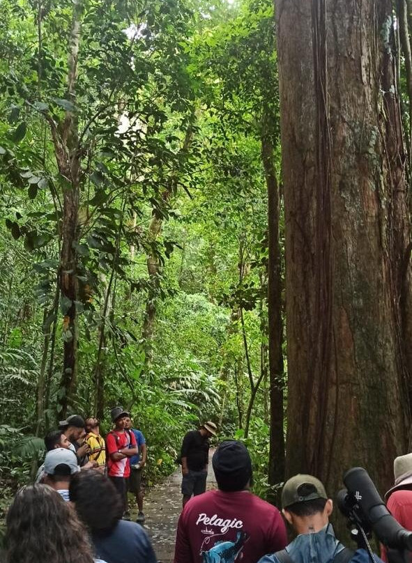 Sendero Cerro Tortuguero-托图杰多必去景点