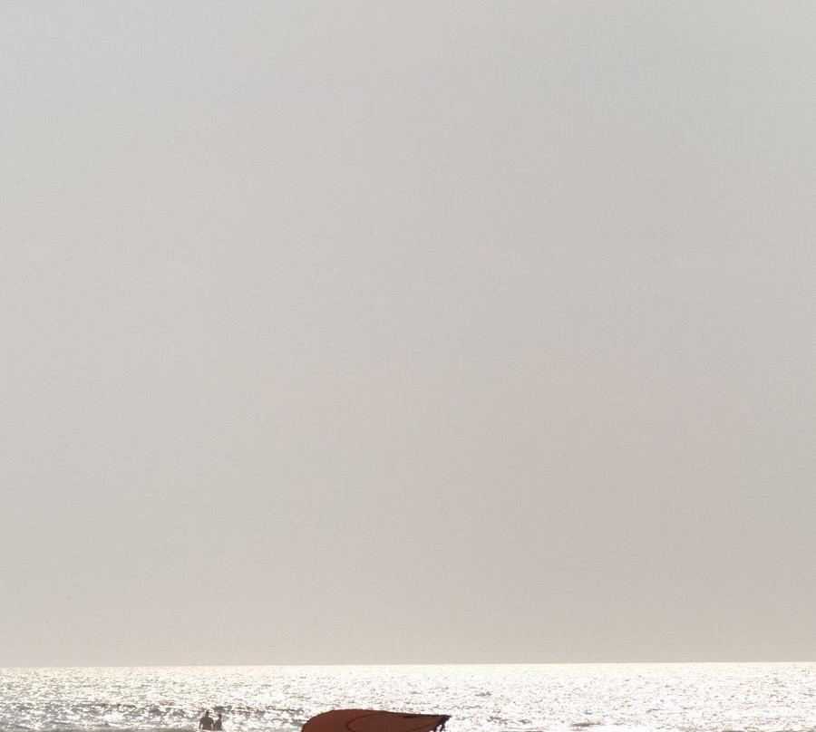 Plage de la Coubre-La Tremblade必去景点