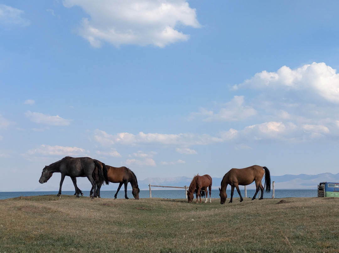 Tunduk Travel-比斯凯克必去景点