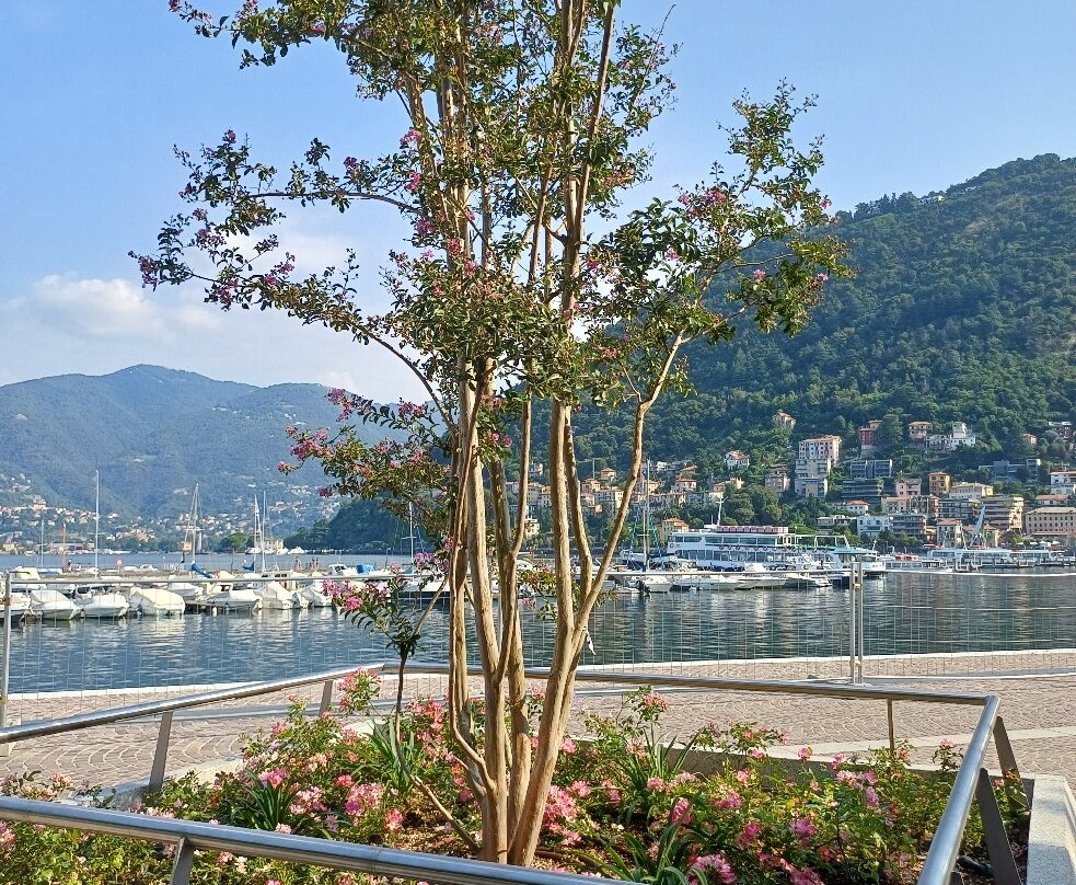 Lungolago da Como centro a Villa Olmo-科莫必去景点