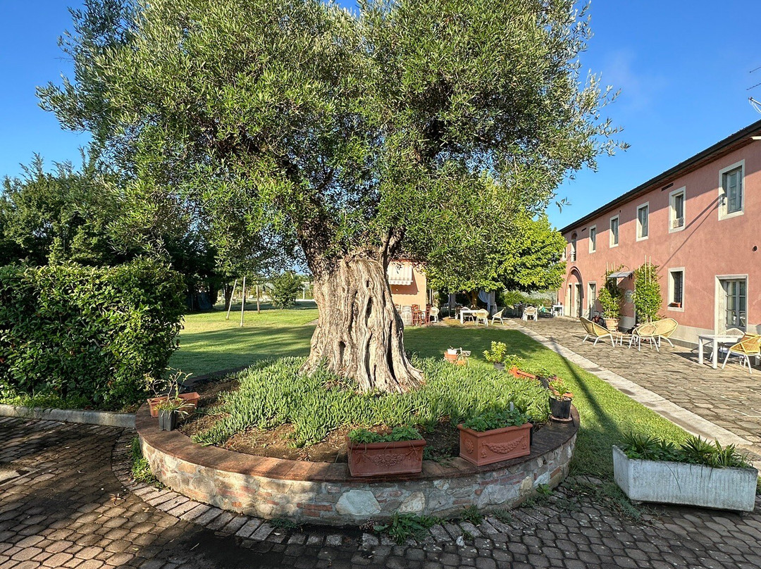 Casal Sant'elena主图