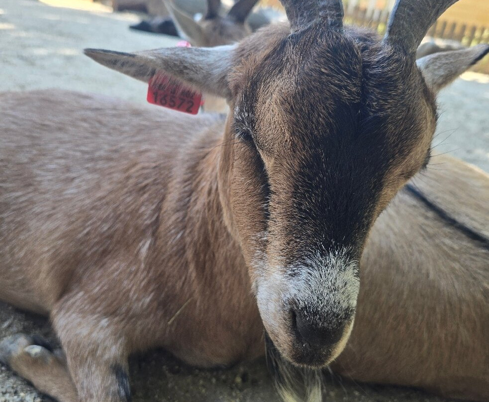 Zoo Zagreb-萨格勒布必去景点