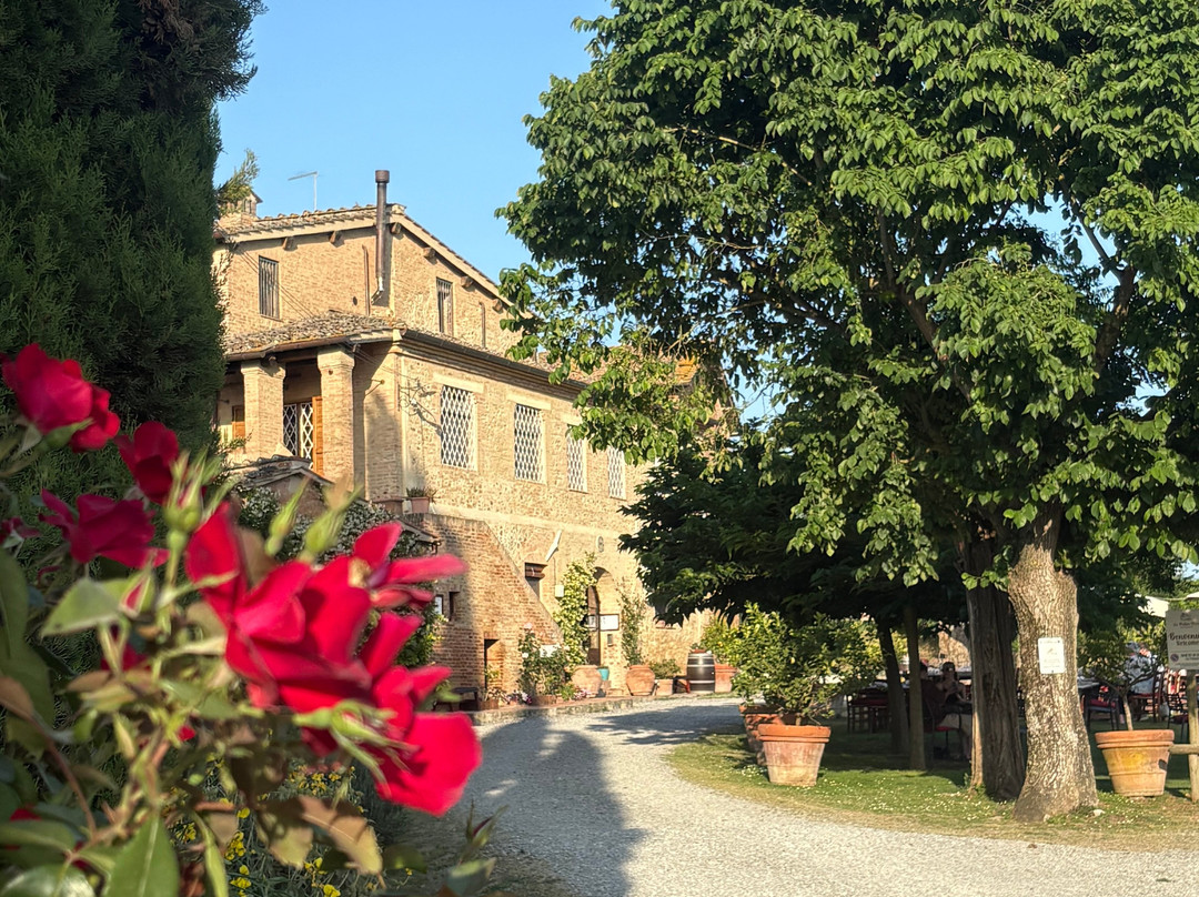 Truffle Hunting in Tuscany-卡斯德尔诺沃贝拉登卡必去景点