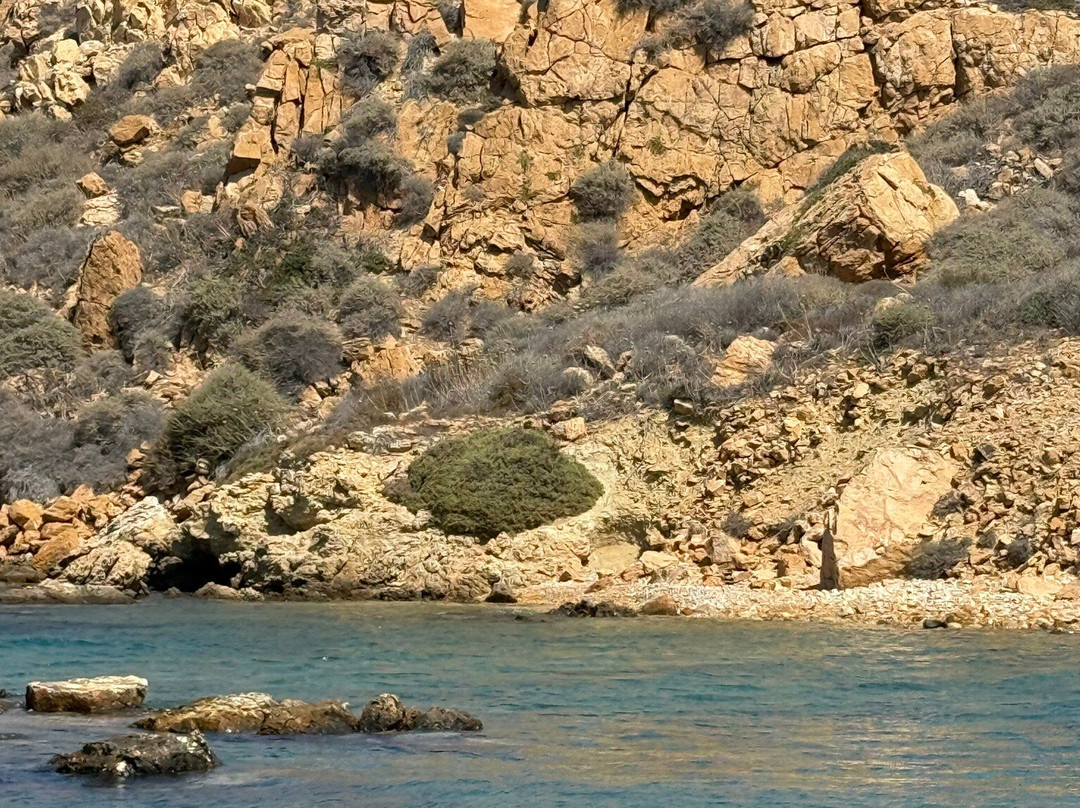 Escape From Reality-Pounta必去景点