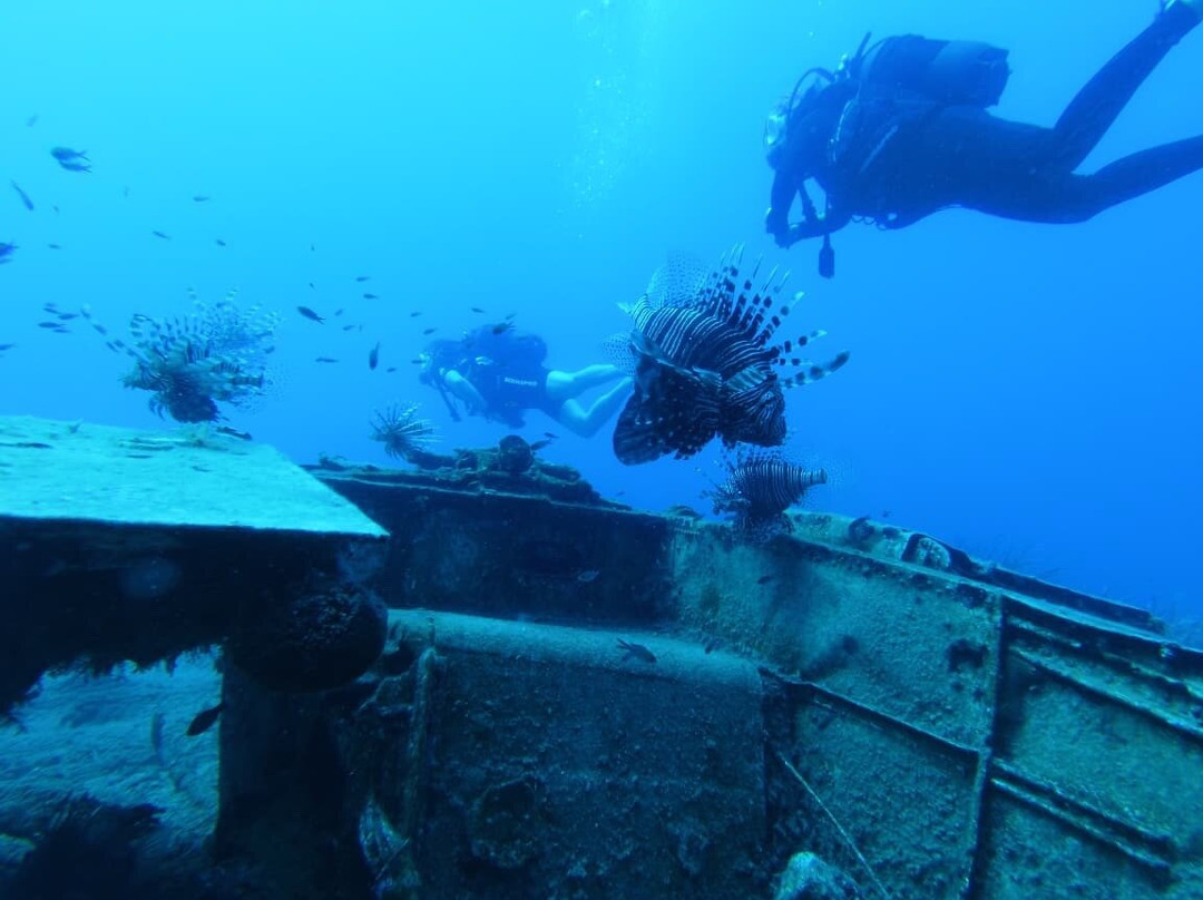 Coral Diving Crete-Anissaras必去景点