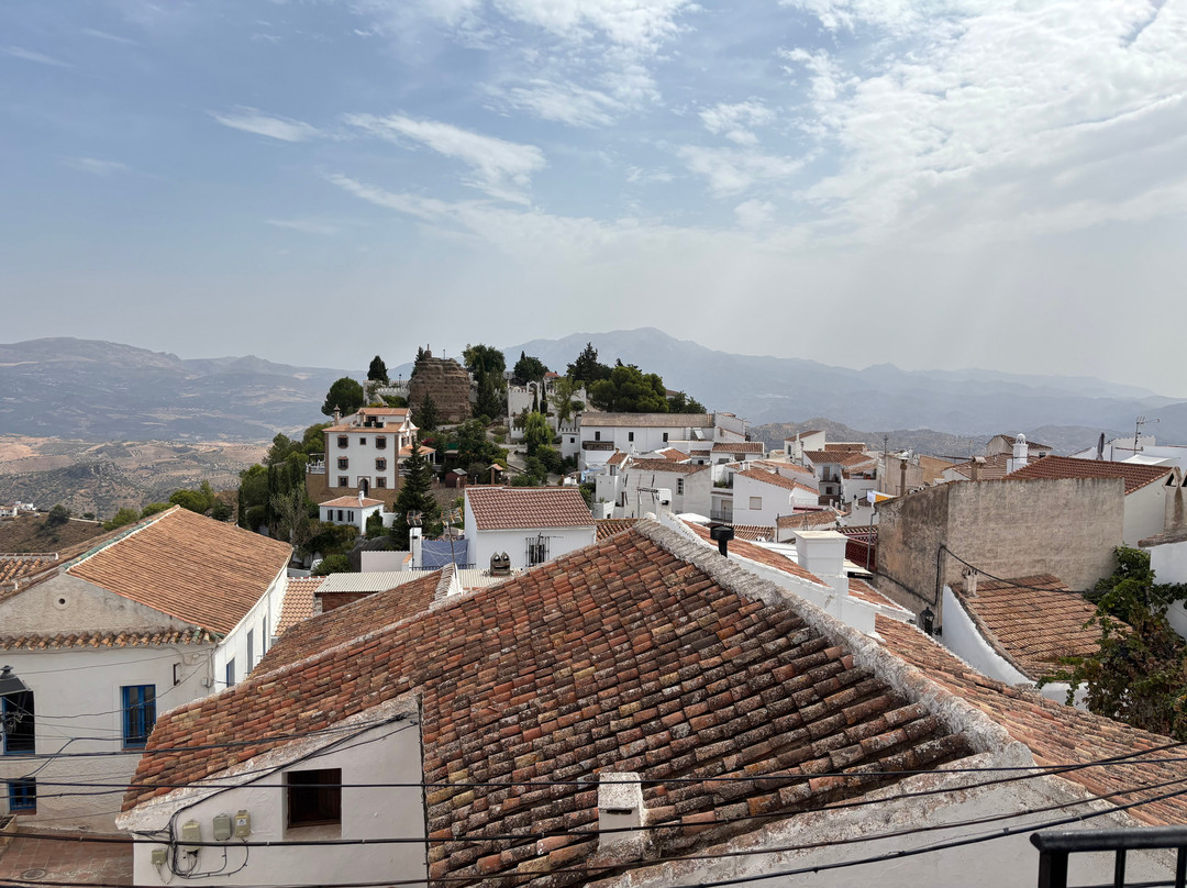 Restaurante Verde Oliva