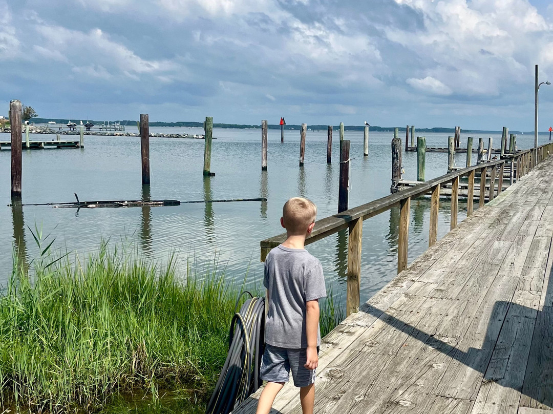 Wylder Hotel Tilghman Island主图