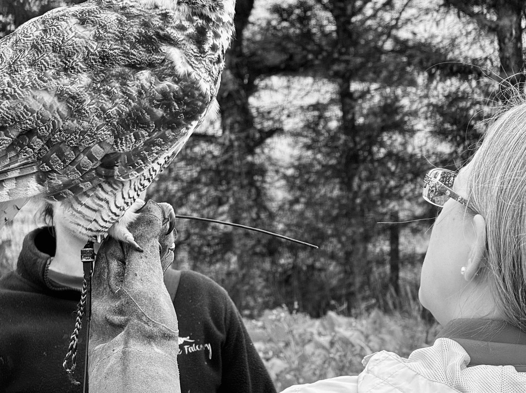 Speyside Falconry-Mulben必去景点