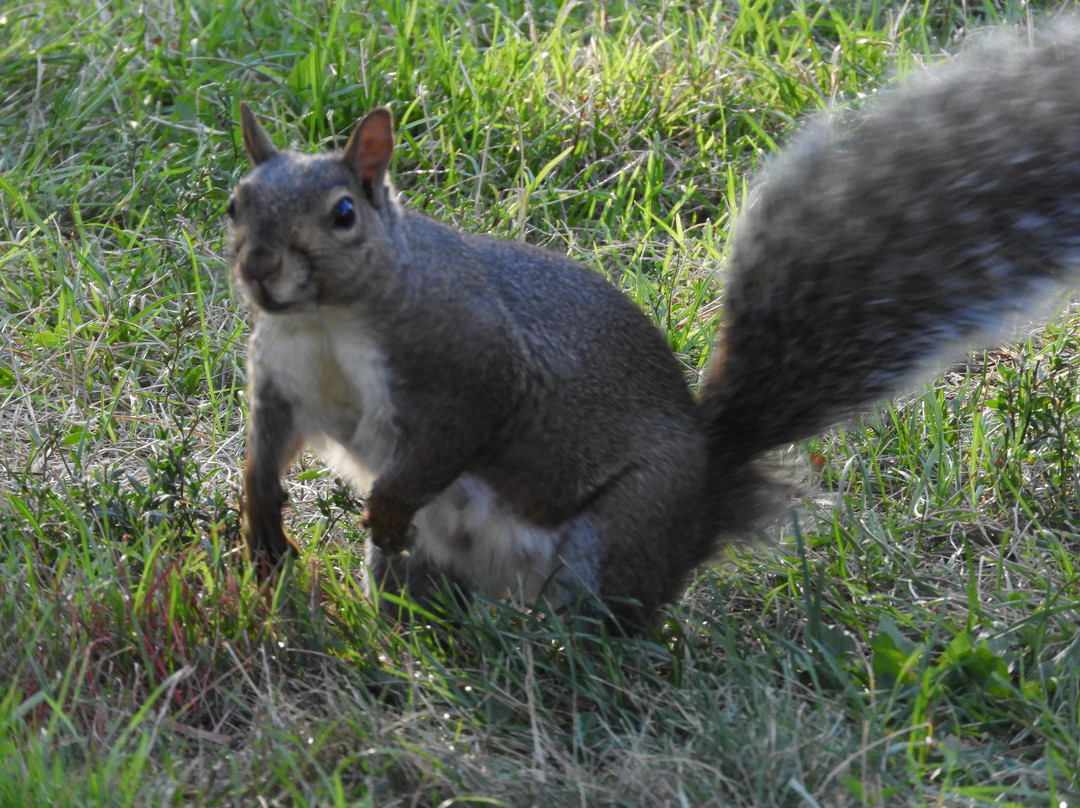 Montebello Park-圣凯瑟琳斯必去景点