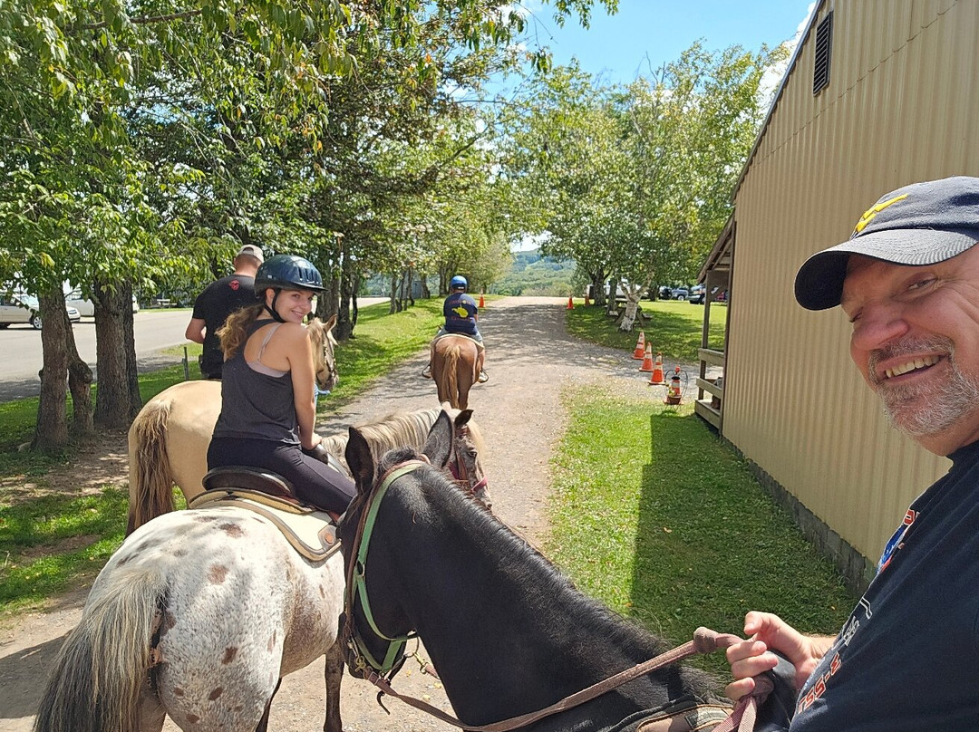 Mountain Trail Rides Horseback Riding & More-戴维斯必去景点