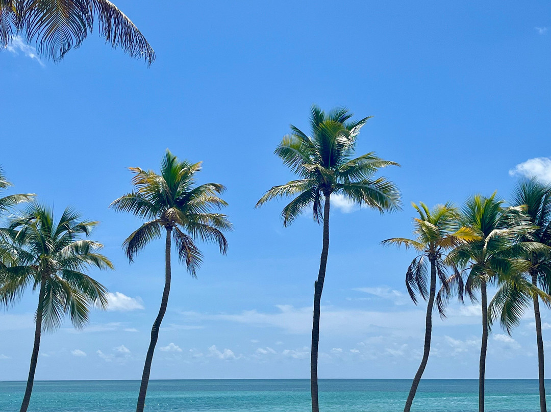 Chesapeake Beach Resort主图