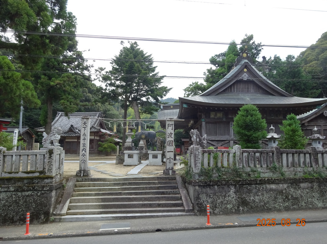 Ichinomiya Shrine-德岛市必去景点