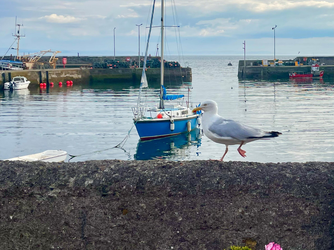 St Monans Harbour-St Monans必去景点
