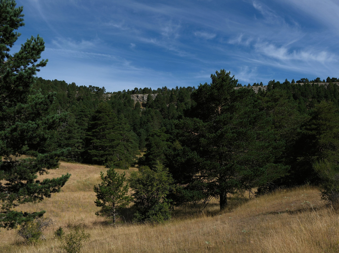 Hotel El Porton de la Sierra主图