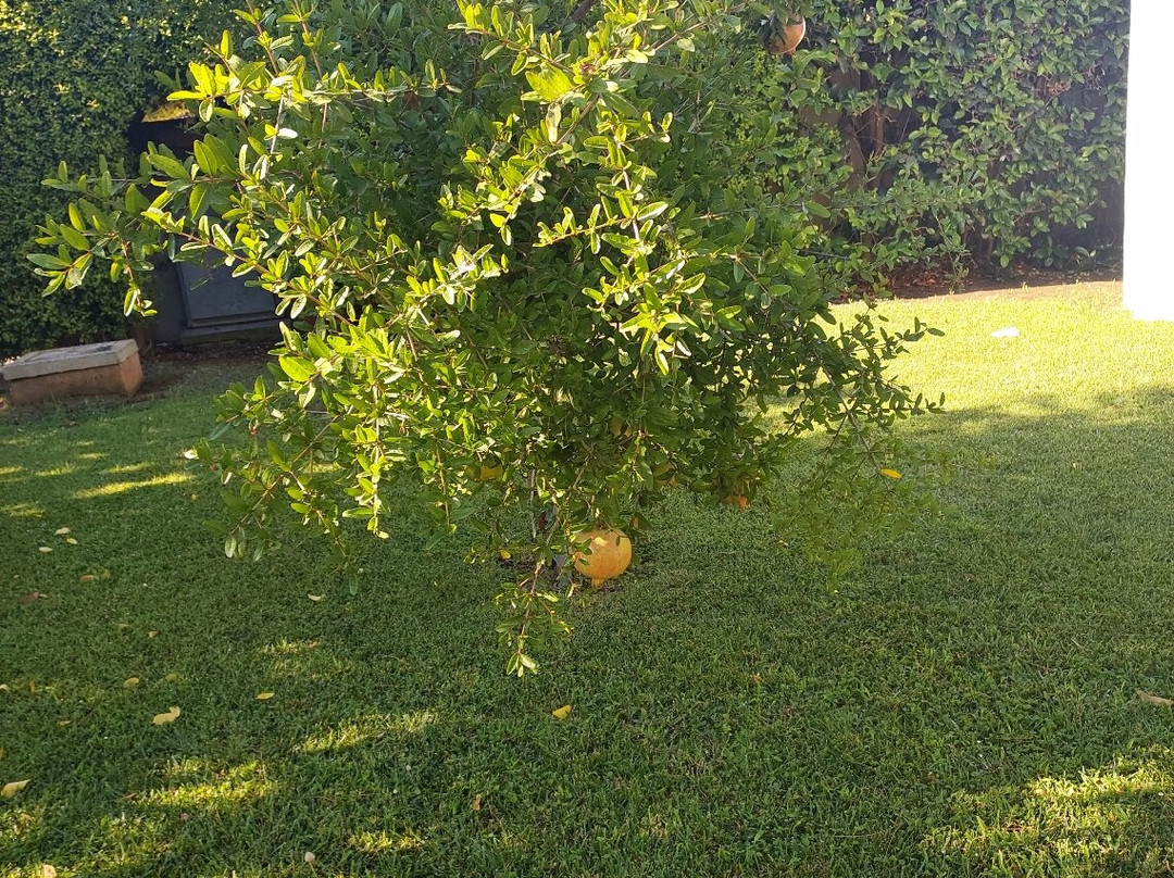 Hotel Intervallo主图