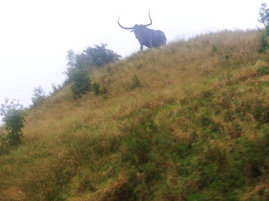 Tarvas Sculpture-拉克韦雷必去景点