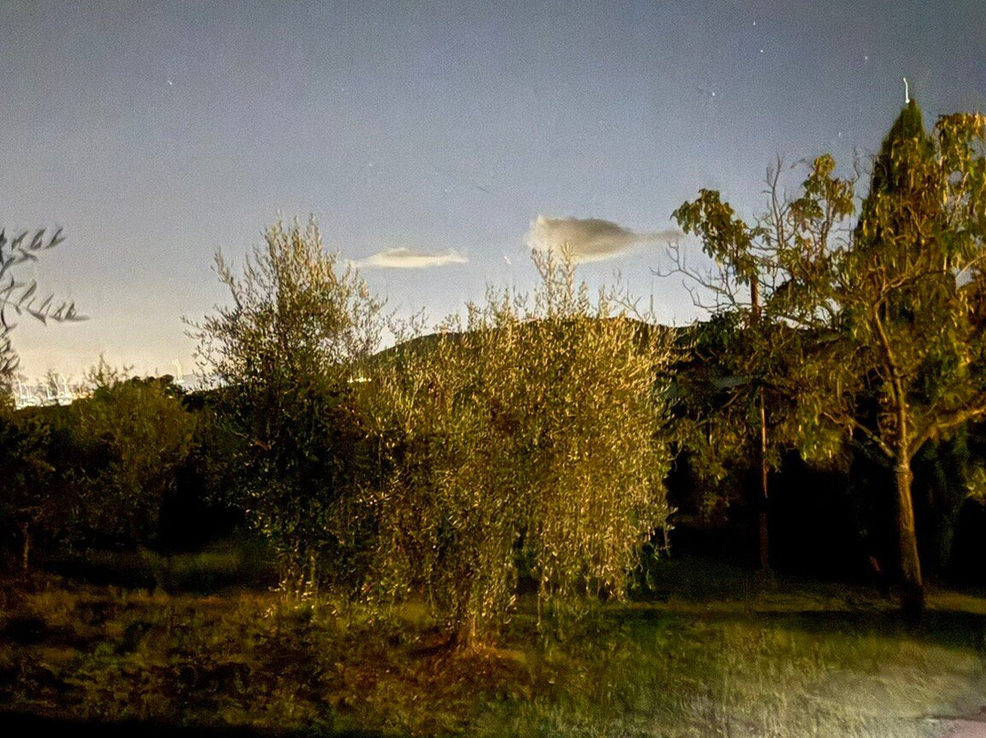 Agriturismo Poggio al Sole主图