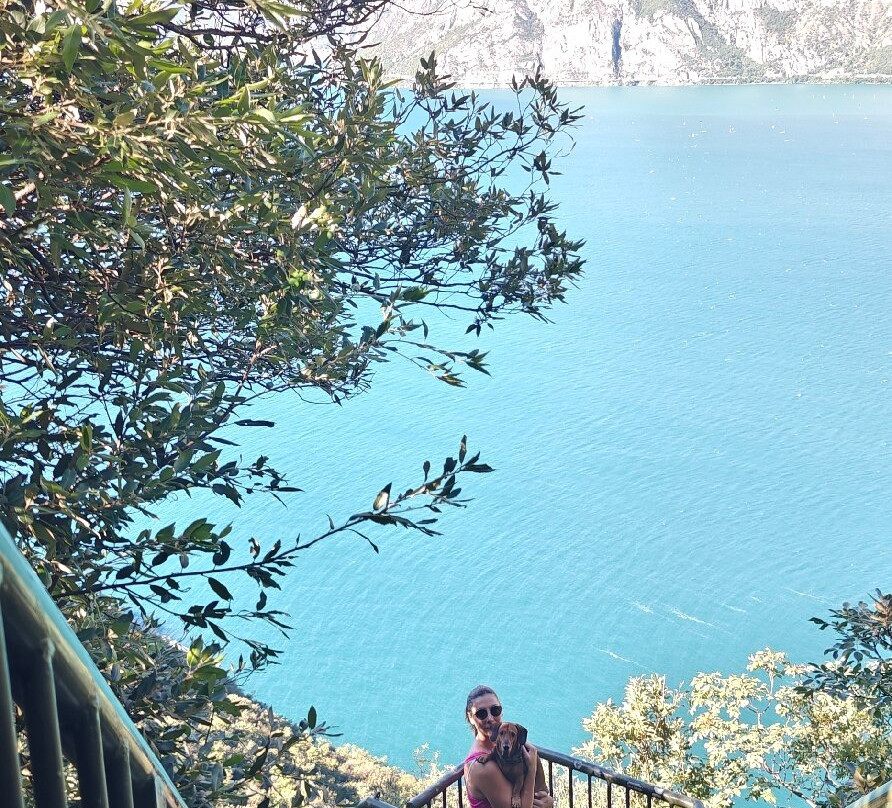 Sentiero panoramico Busatte Tempesta-托尔博莱必去景点