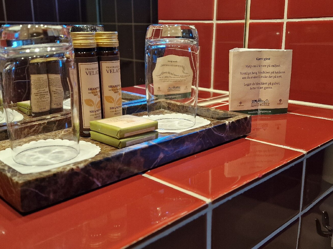 Kronen Gaard Hotel主图