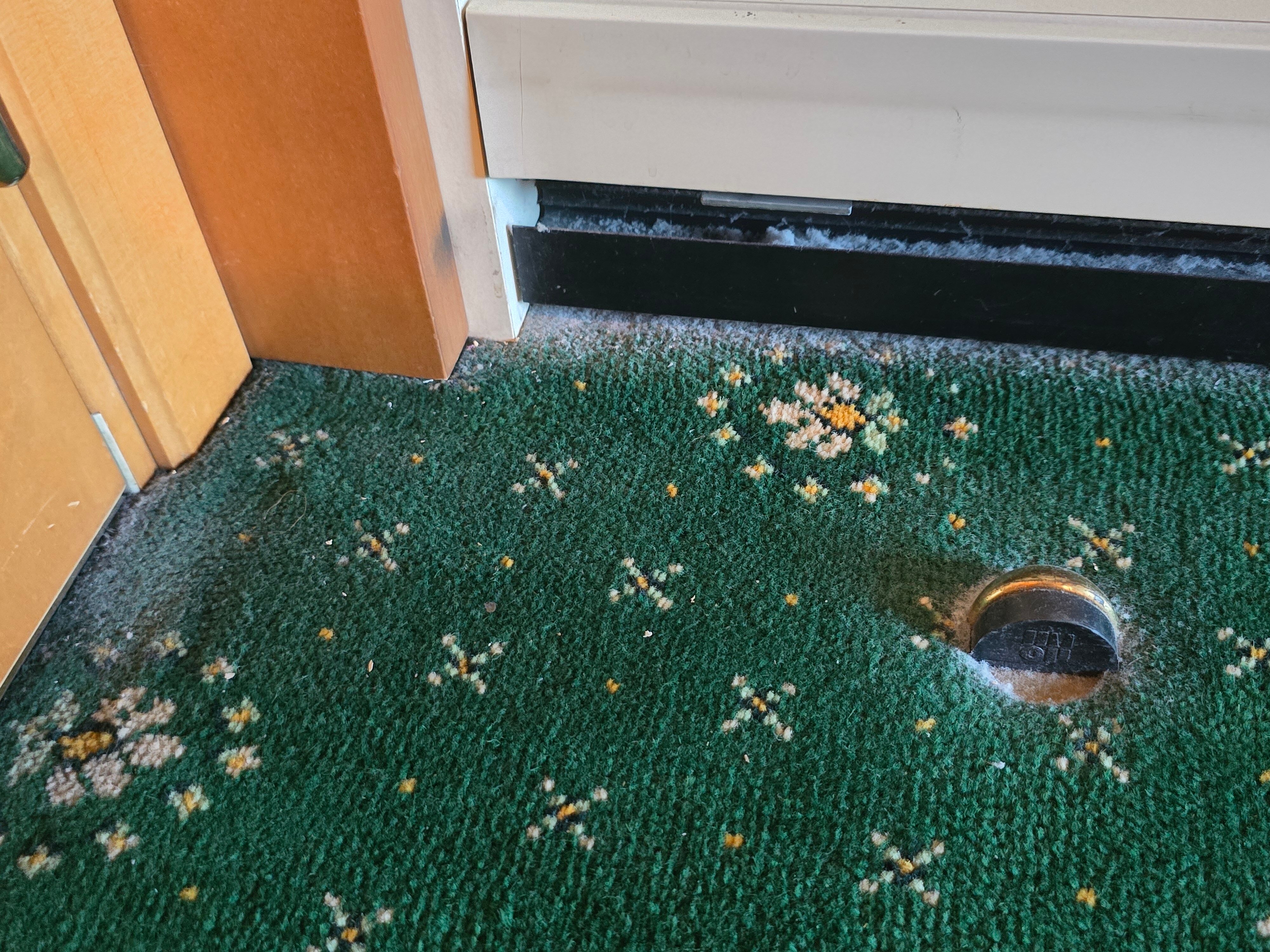 皇家花园酒店-客卧