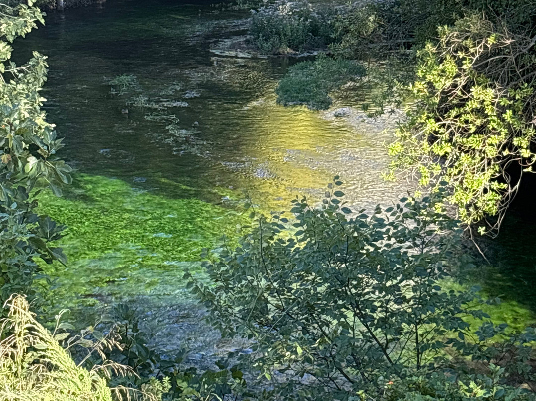 La Colonne De Pétrarque-泉水小镇必去景点