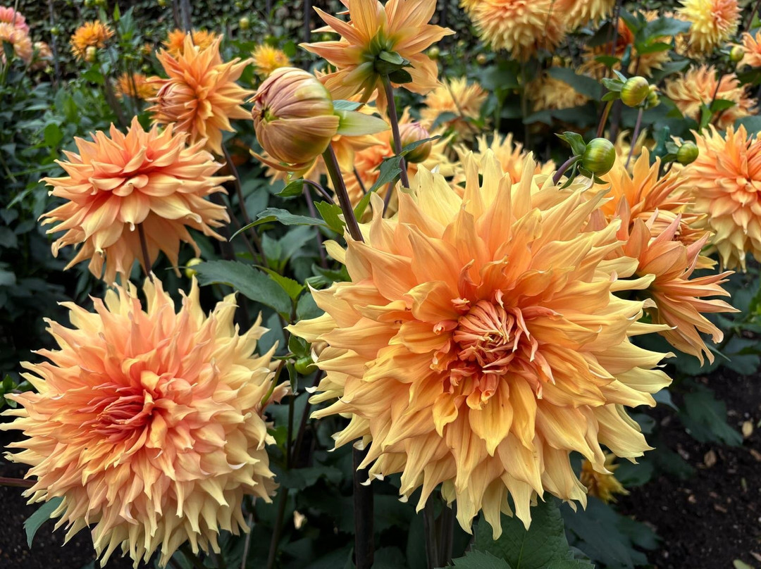 安格尔西修道院-Lode必去景点