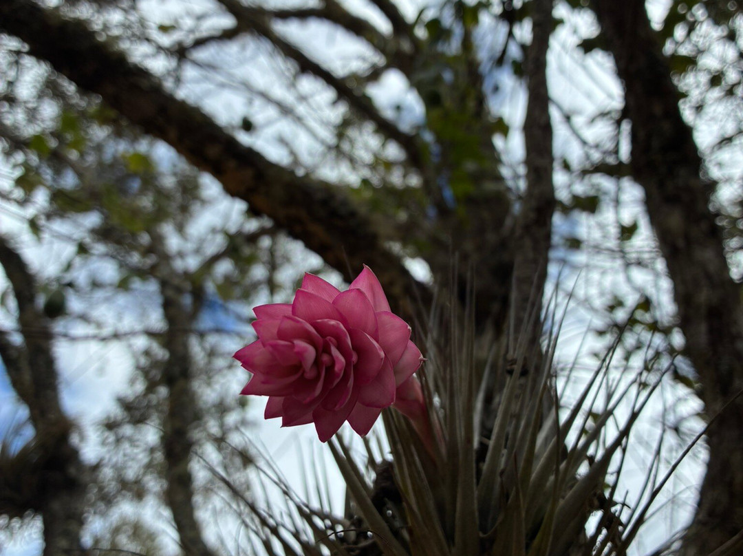 Cachoeira dos Garcias-Aiuruoca必去景点
