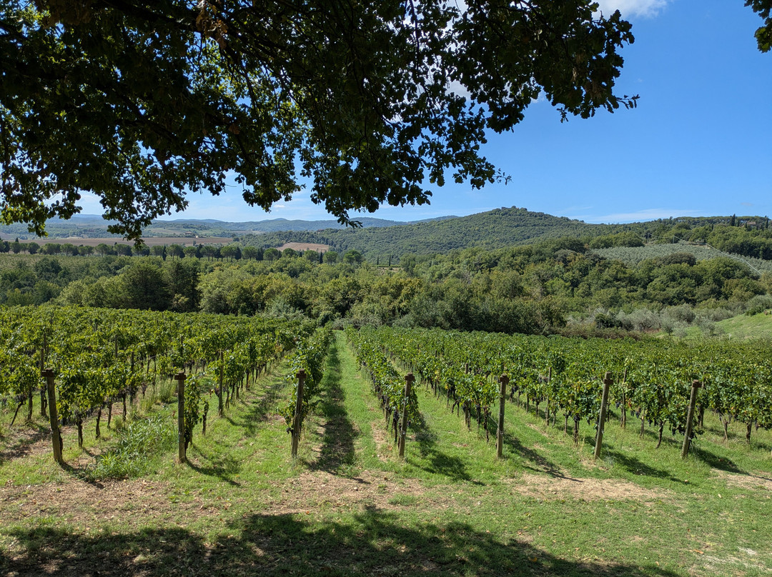 Castello Monte Vibiano Vecchio-Mercatello必去景点