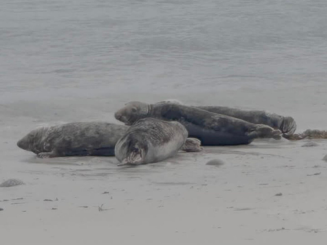 St Martin's Watersports-St Martin's必去景点