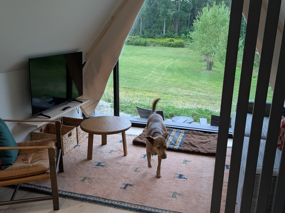 Outbound Stowe主图