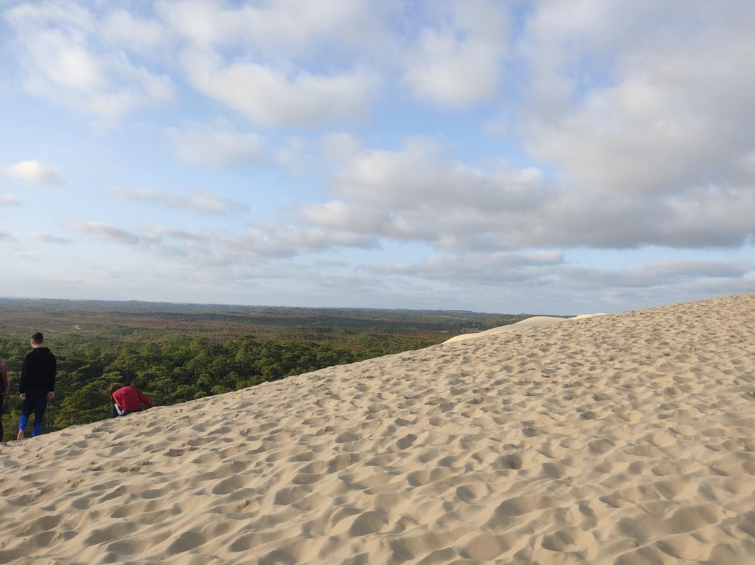 Great Dune of Pilat-拉泰斯特德比克必去景点