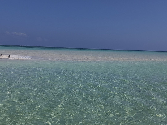 SAFARI KENYA CON ZENZERO - DAY TOURS-瓦塔木必去景点