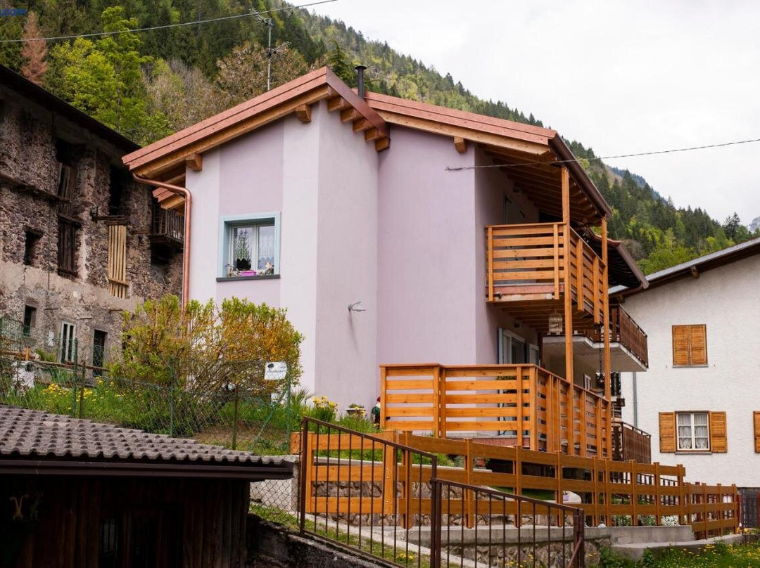Il Bosco dei 100 Acri
