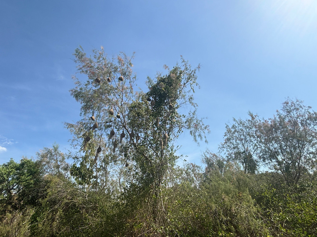 LK Tour Lanka-科伦坡必去景点