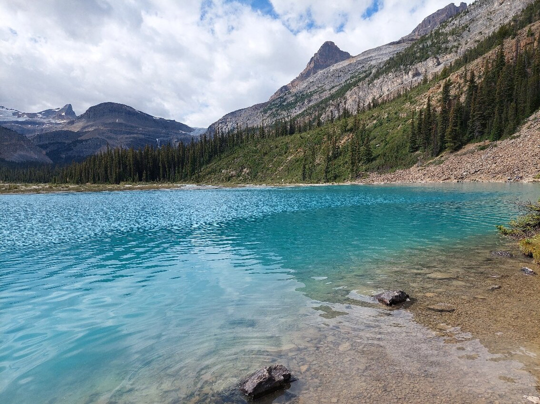 Bow Glacier Falls Trail-路易斯湖必去景点
