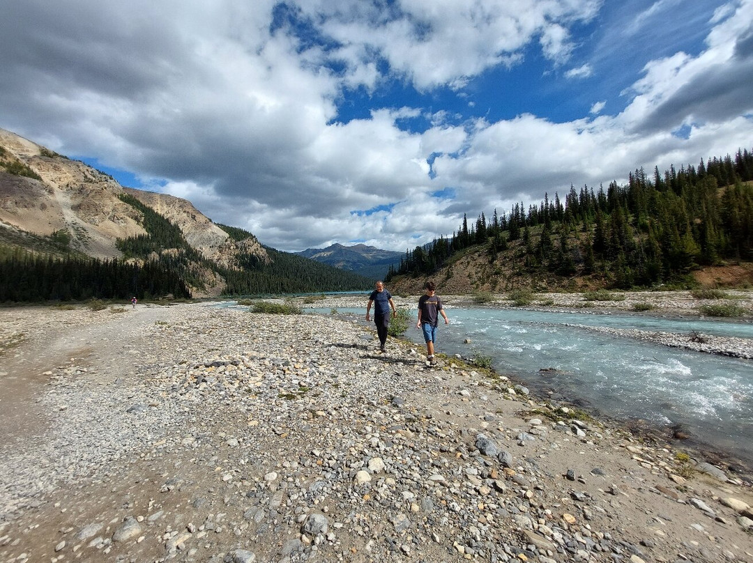 Bow Glacier Falls Trail-路易斯湖必去景点